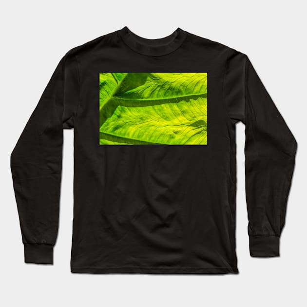 The Poetry of a Leaf Long Sleeve T-Shirt by thadz